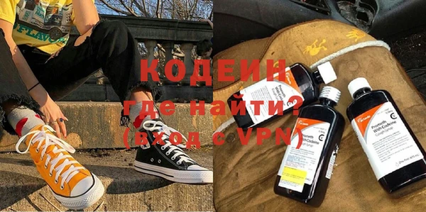 хмурый Арсеньев
