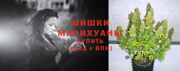 молекула духа Богданович