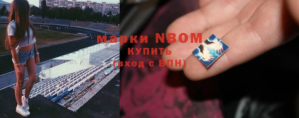 молекула духа Богданович