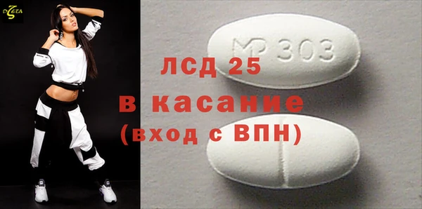 молекула духа Богданович