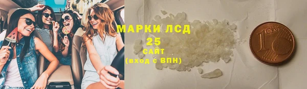 молекула духа Богданович