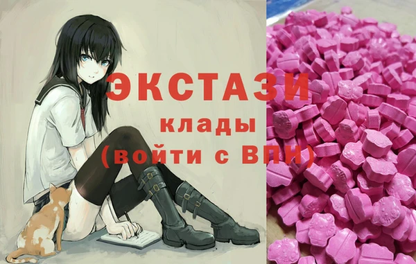 молекула духа Богданович