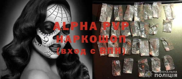 молекула духа Богданович