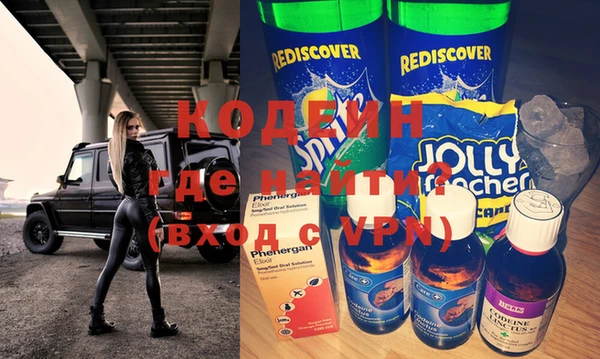 молекула духа Богданович