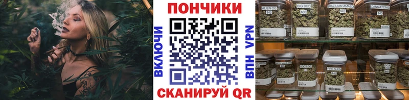 купить наркотики сайты  Чудово  Каннабис планчик 
